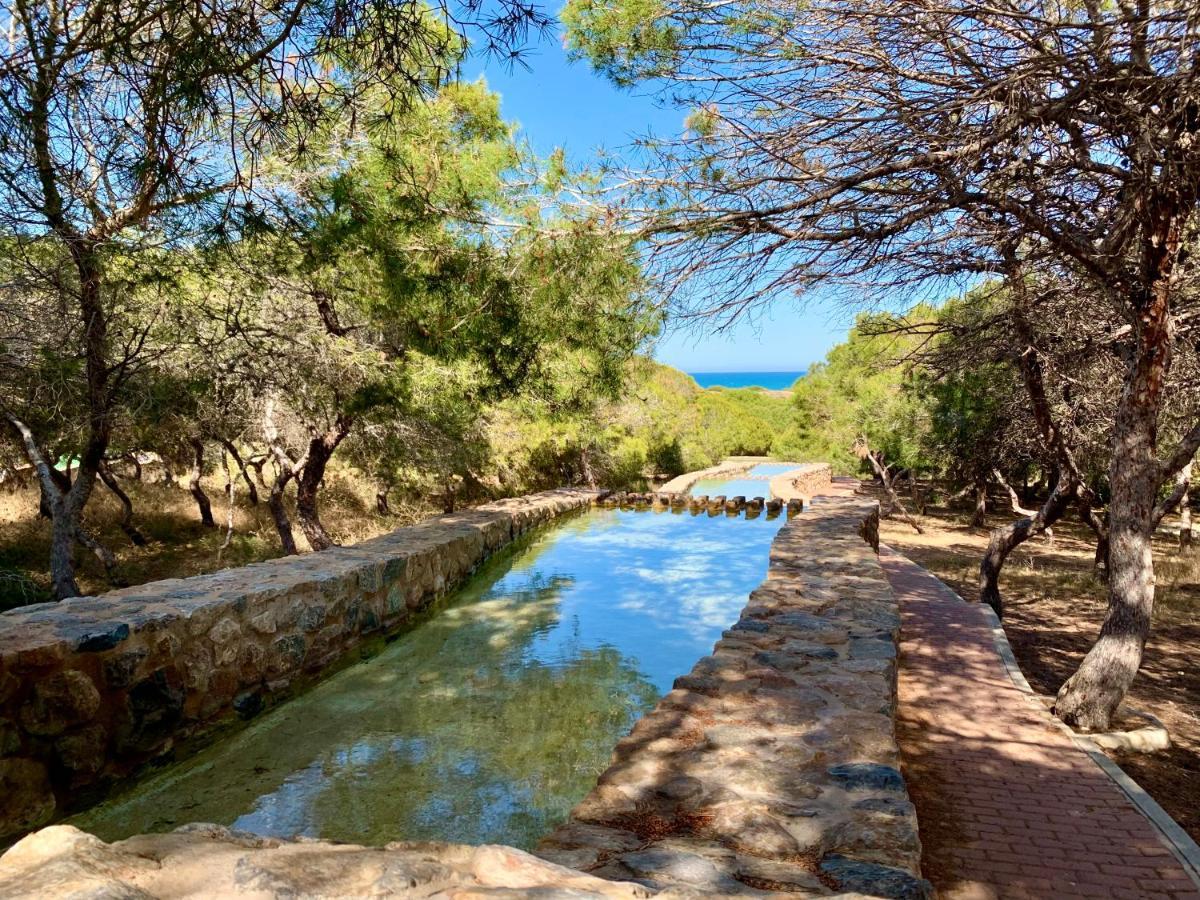 Your Holidays In La Mata Τορεβιέχα Εξωτερικό φωτογραφία